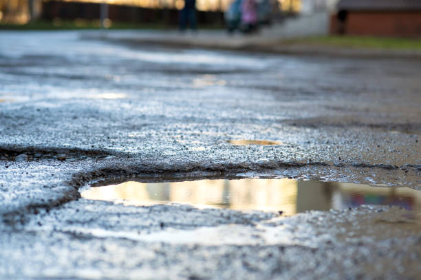 Best Gravel Driveway Installation in West Crossett, AR